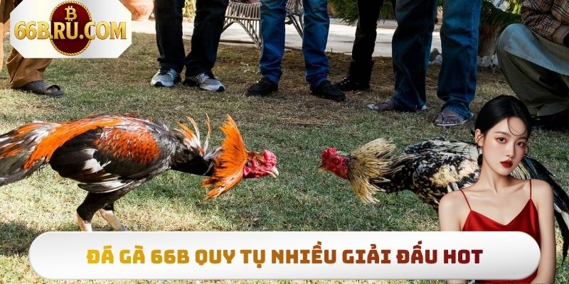Đá Gà 66b - Top 3 Hình Thức Thi Đấu Có Lượt Truy Cập Khủng 5 Chuyên mục quy tụ đủ các giải đấu chiến kê lớn nhỏ