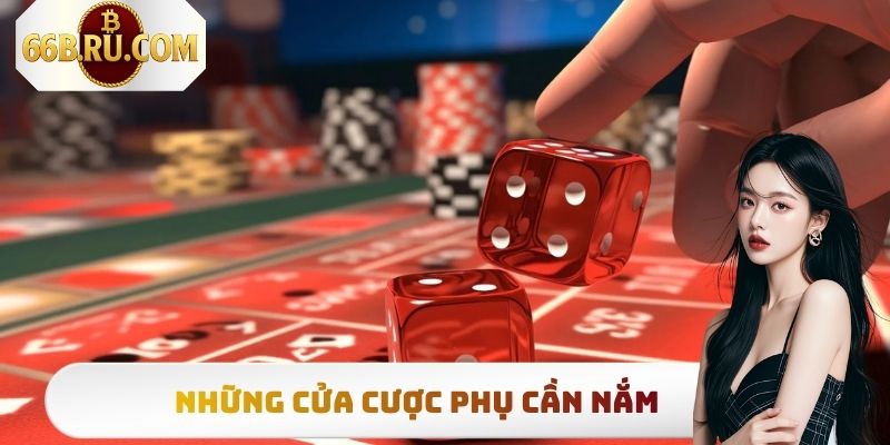 Tài Xỉu Online 66b - Sảnh Cược Uy Tín, Chất Lượng Hàng Đầu 4 Những cửa cược phụ cần nắm