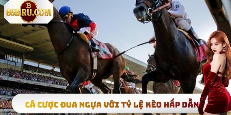 Thể Thao 66B - Sân Chơi Đổi Thưởng Đẳng Cấp Hàng Đầu 2025 5 Cá cược đua ngựa với nhiều tỷ lệ kèo vô cùng hấp dẫn