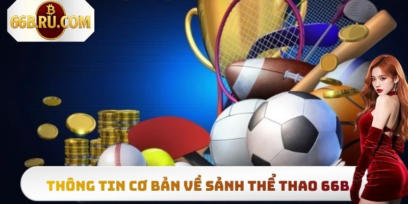 Thể Thao 66B - Sân Chơi Đổi Thưởng Đẳng Cấp Hàng Đầu 2025 3 Một số thông tin tổng quan cần biết về thể thao 66B